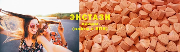 тгк Дмитриев