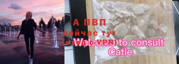 тгк Дмитриев