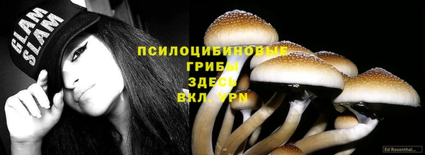 тгк Дмитриев