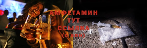 СК Дмитровск