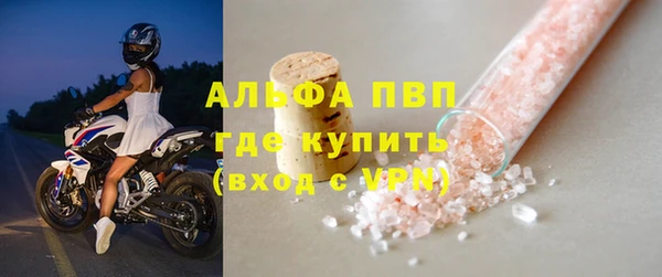 СК Дмитровск