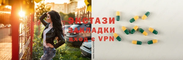 тгк Дмитриев