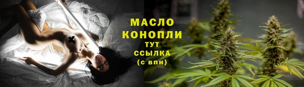 СК Дмитровск