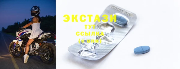 тгк Дмитриев
