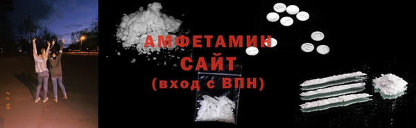 тгк Дмитриев