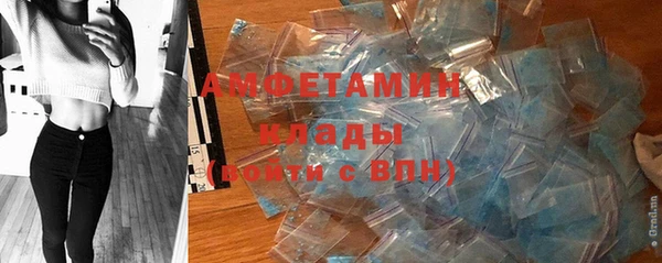 тгк Дмитриев