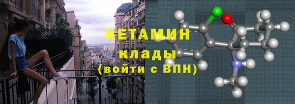 тгк Дмитриев