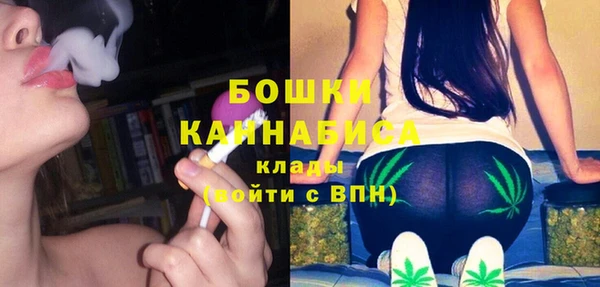 СК Дмитровск