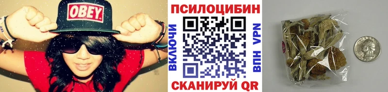 Псилоцибиновые грибы MAGIC MUSHROOMS  Купить  Карачев 
