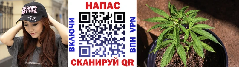 Конопля AK-47 Карачев