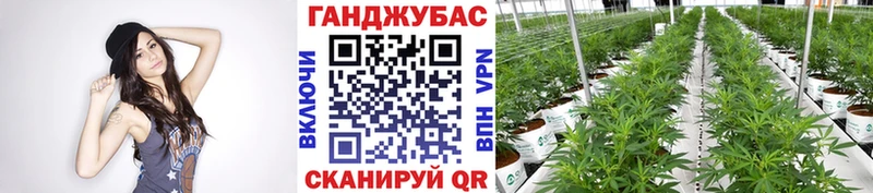 Бошки марихуана Bruce Banner  Купить закладки  Карачев 